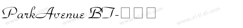 ParkAvenue BT字体转换